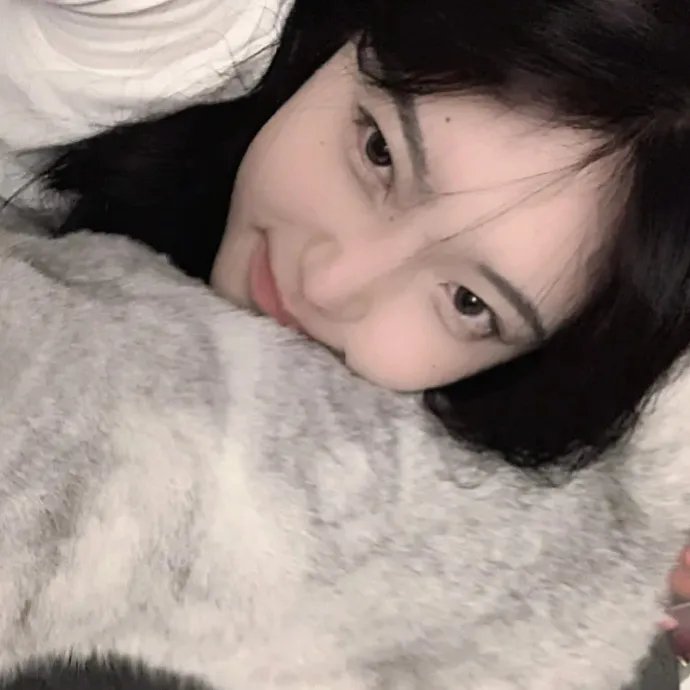 淑女绅士